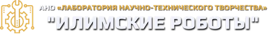 Создаём будущее с ILIMBOTS: обучаем разработке VR/AR, пилотированию беспилотников и программированию киберсистем.  Оказываем услуги 3D-печати и лазерной резки.
